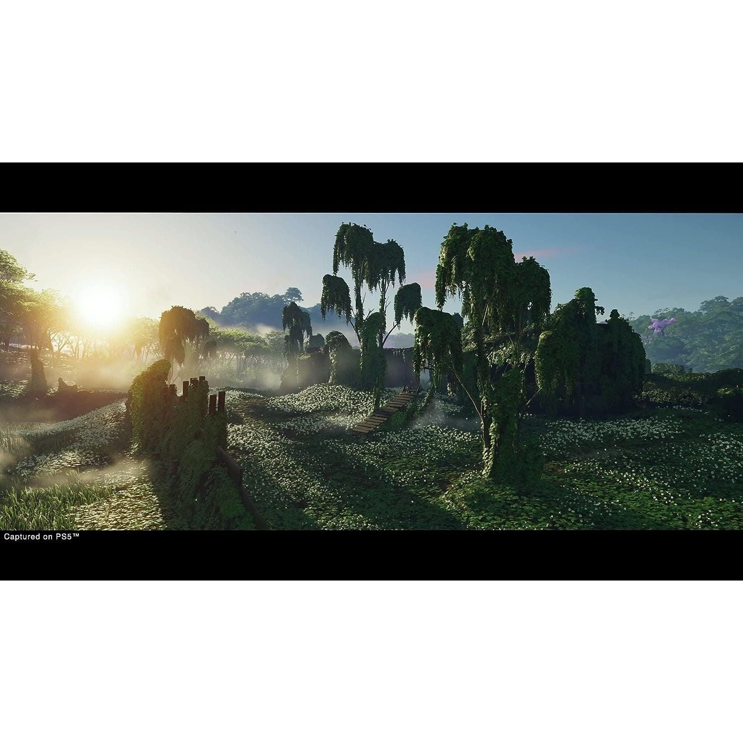 Buy Sony,Ghost of Tsushima: Director’s Cut (PS5) - Gadcet UK | UK | London | Scotland | Wales| Ireland | Near Me | Cheap | Pay In 3 | Video Game Software